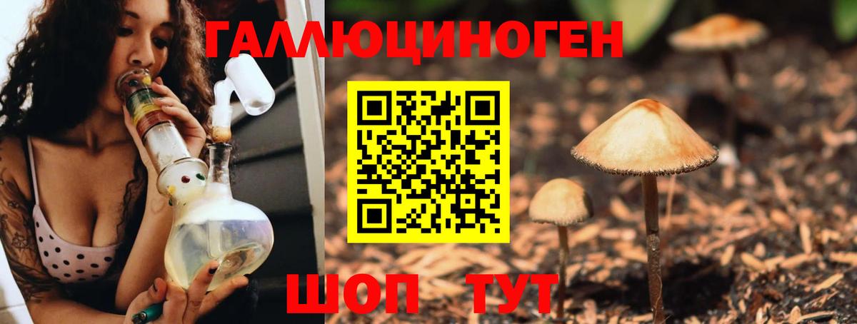 Псилоцибиновые грибы Magic Shrooms Краснознаменск